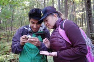 Graduate students assessing the habitat
